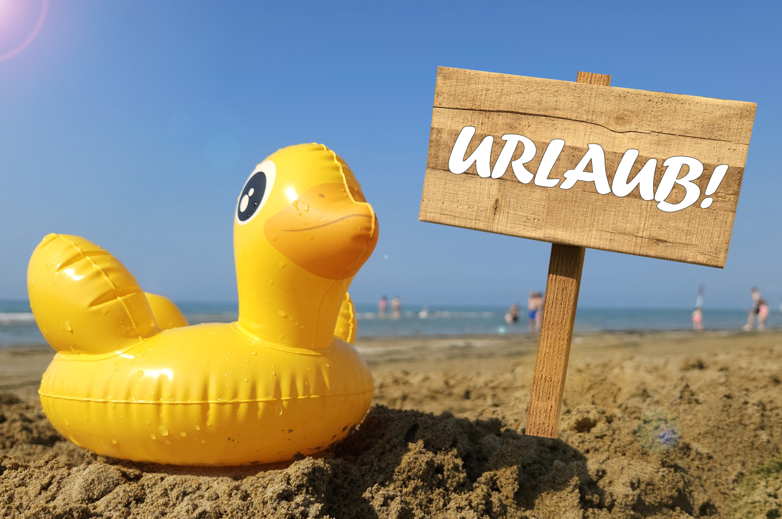 Urlaub Bilder Ente